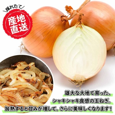 北海道 士幌産 たまねぎ 10kg 採れたて玉ねぎ 旬の野菜 十勝 士幌町【V07】
