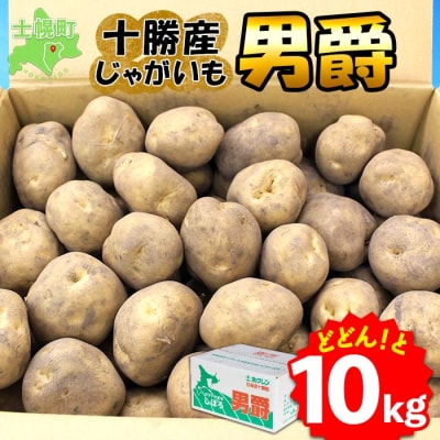 じゃがいも(男爵)10kg 《2024年産》【V03】