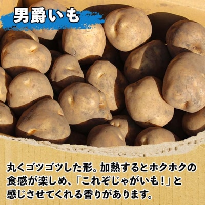 じゃがいも(男爵)10kg 《2024年産》【V03】