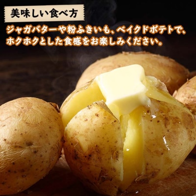 じゃがいも(男爵)10kg 《2024年産》【V03】