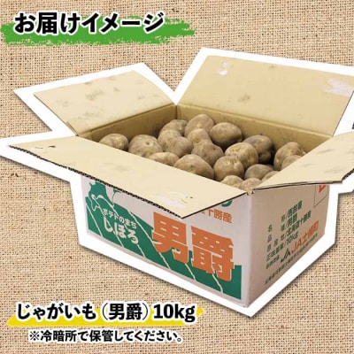 じゃがいも(男爵)10kg 《2024年産》【V03】