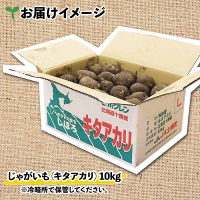 【10月より順次発送予定】じゃがいも(キタアカリ)《2026年産》【V04】