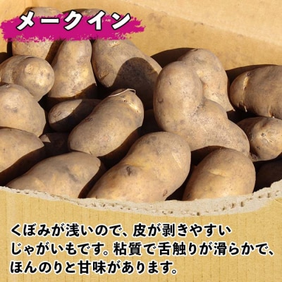 【10月より順次発送予定】じゃがいも(メークイン) 10kg《2026年産》【V05】