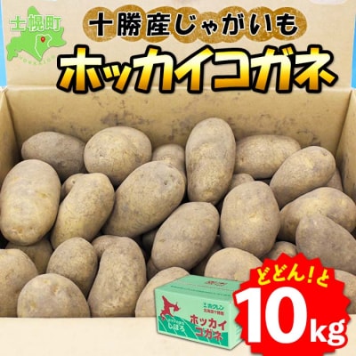じゃがいも(ホッカイコガネ) 10kg《2024年産》【V06】