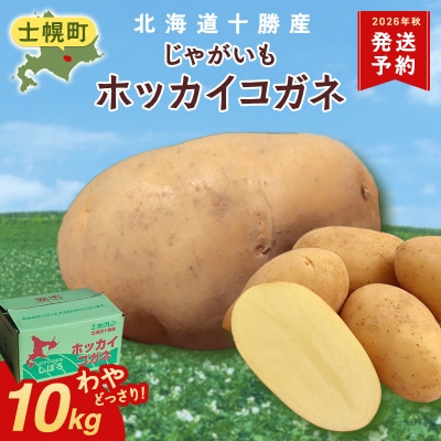 【10月より順次発送予定】じゃがいも(ホッカイコガネ) 10kg《2026年産》【V06】