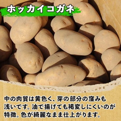【10月より順次発送予定】じゃがいも(ホッカイコガネ) 10kg《2026年産》【V06】