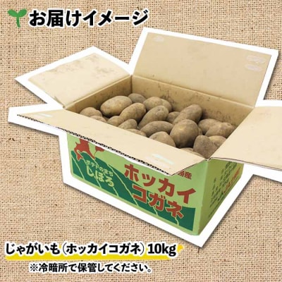 【10月より順次発送予定】じゃがいも(ホッカイコガネ) 10kg《2026年産》【V06】