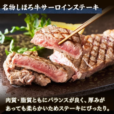 北海道 しほろ牛 サーロインステーキ 約200g ハンバーグ 150g×2 十勝 士幌町【L11】