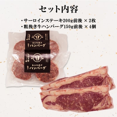 北海道 しほろ牛 サーロインステーキ 200g×2 ハンバーグ 150g×4 十勝 士幌町【L12】