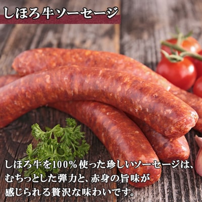 北海道 しほろ牛 ソーセージ 計12本 牛ソーセージ むちっとジューシー 十勝 士幌町【L15】