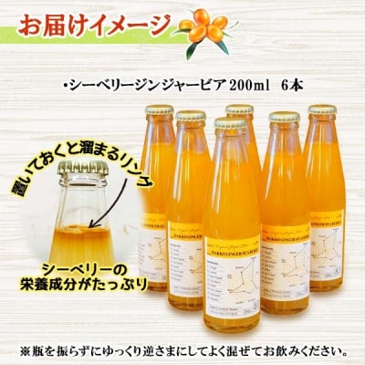 シーベリージンジャービア 200ml×6本 ノンアルコール すっきり辛口 十勝 士幌町【L22】