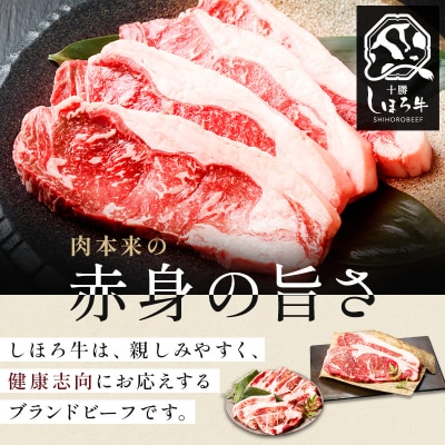 しほろ牛定期便(全3回)【X21】