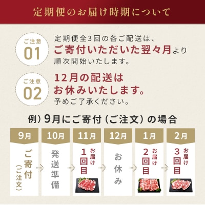 しほろ牛定期便(全3回)【X21】