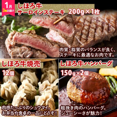道の駅定期便 ピア21しほろ贅沢セット 全8回【L906】