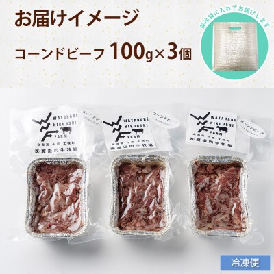 コーンドビーフ 100g×3個 アレンジ自在 渡邉肉牛牧場 国産牛 十勝・士幌町【W03】