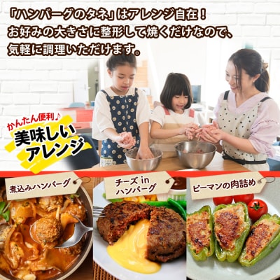 北海道 ビーフ ハンバーグステーキのたね 500g おうちで作れる 十勝 士幌【W07】