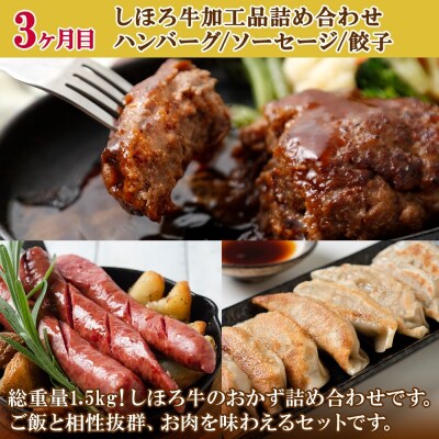 ご飯のお供定期便(全3回)【X34】