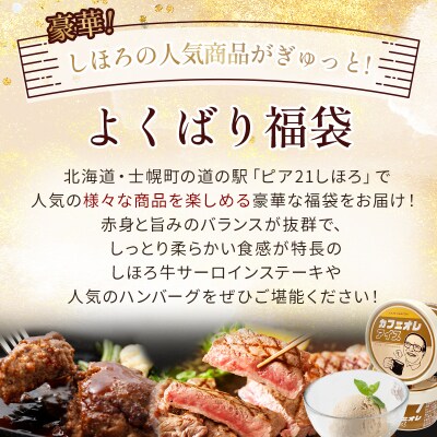 <1月18日までの受付延長>豪華しほろ特産品よくばり福袋【L902】