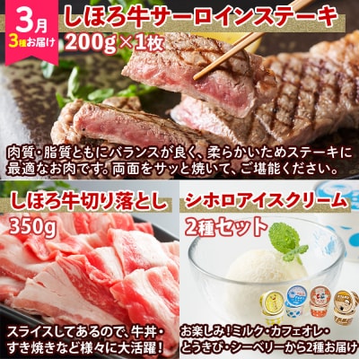 道の駅定期便 しほろ牛よくばりセット 全3回【L903】