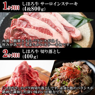 【(全5回)定期便】 北海道 しほろ牛 牛肉 十勝 士幌町 【X22】
