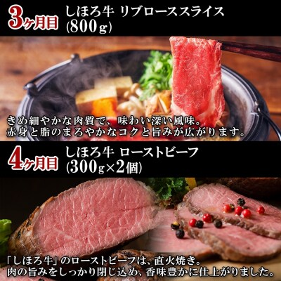 ■定期便■ 北海道 しほろ牛 冬の定期便 全5回【X22】