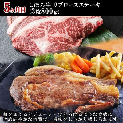 【(全5回)定期便】 北海道 しほろ牛 牛肉 十勝 士幌町 【X22】