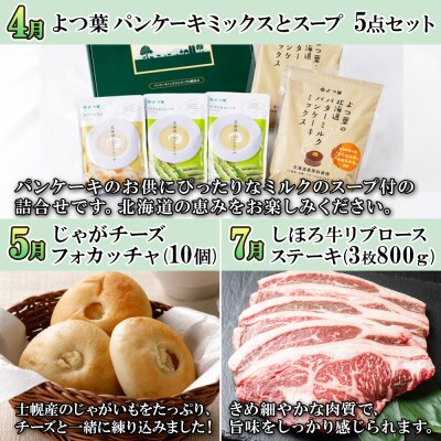 しほろオススメ定期便 全10回【X29】