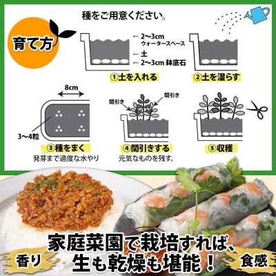 北海道 生スパイスの土 5L 2kg 1袋 ハーブ用 スパイス用 十勝 士幌町【F16】