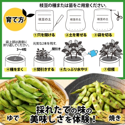 北海道 ビールにあう新鮮枝豆の土 14L 1袋 袋のまま 栽培 できる 十勝 士幌町【F15】