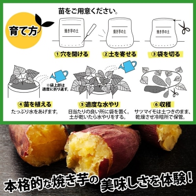 北海道 焼き芋の土 20L 1袋 袋のまま 栽培 できる サツマイモ 十勝 士幌町【F17】