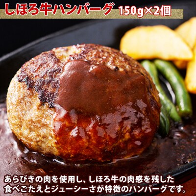 食べ尽くし福袋 しほろ牛 牛肉 数量限定 セット 北海道 十勝 士幌町【L910】