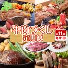 定期便 北海道 牛肉づくし 全11回 ステーキ ハンバーグ 頒布会【X36】