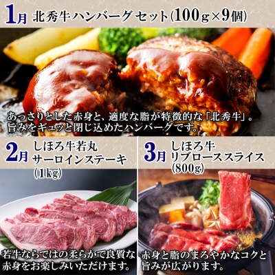 定期便 北海道 牛肉づくし 全11回 ステーキ ハンバーグ 頒布会【X36】