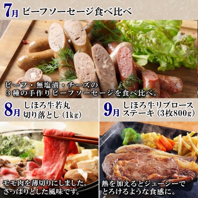 定期便 北海道 牛肉づくし 全11回 ステーキ ハンバーグ 頒布会【X36】