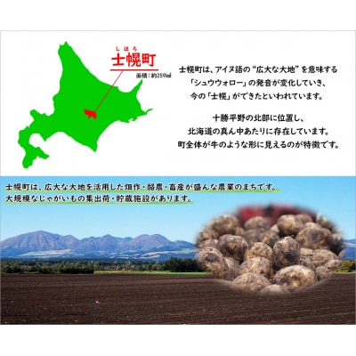 ポテトチップス コンソメ 計24袋 北海道産じゃがいも使用 士幌町【N01-03】