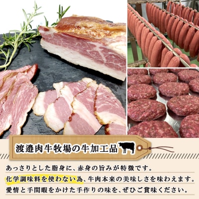 北海道 ビーフ ジャーキー 20g×3 牛肉 おやつ おつまみ 国産 十勝 士幌町【W10-3】
