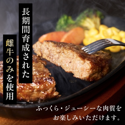 【小野牧場】黒毛和牛ハンバーグ 北海道産 (150g × 6個) 十勝 士幌町【O02】