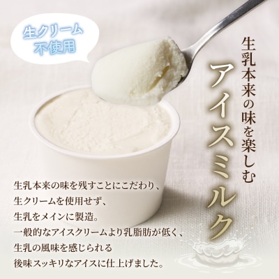 北海道 小野牧場 アイスクリーム ミルク チョコ 90ml×6個セット 十勝 士幌【O01】