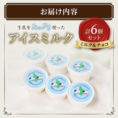 北海道 小野牧場 アイスクリーム ミルク チョコ 90ml×6個セット 十勝 士幌【O01】