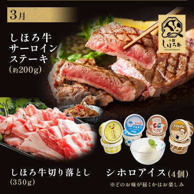<全3回> 道の駅定期便 ピア21しほろ しほろ牛よくばりセット 【L903】