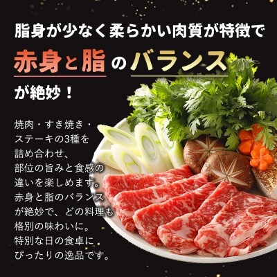 北海道 士幌黒牛 十勝ポテ牛(も～)ビーフ サーロイン バラエティ セット 800g【ST01-0】