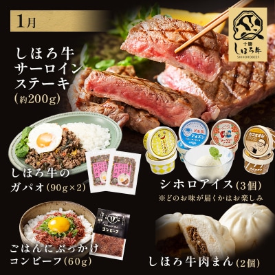 <全3回> 道の駅 定期便 主婦が嬉しい肉三昧セット【L904】