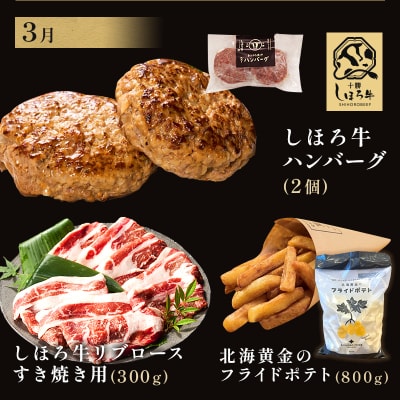 <全3回> 道の駅 定期便 主婦が嬉しい肉三昧セット【L904】
