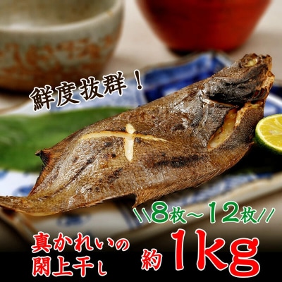 真かれいの閖上干し|21_mrt-030101
