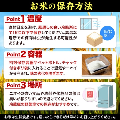 10月以降発送【ギフト・小分け15袋】ササニシキ 30合 令和8年産|21_lft-111501