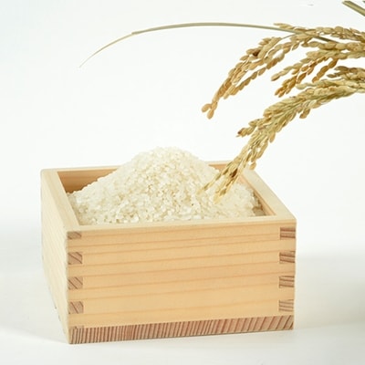  ≪令和7年産≫ こだわりのお米　つや姫5kg