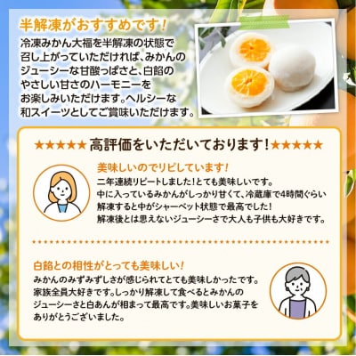 みかん丸ごと1個入った甘仙堂のみかん大福 10個入|21_ksd-091001