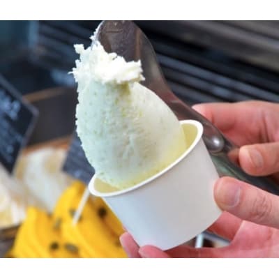 自然派手づくり ナチュリノの大人気ずんだジェラート6個パック