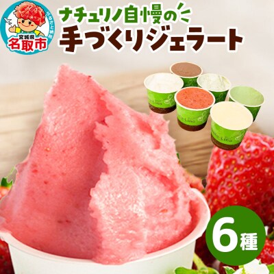 ナチュリノ自慢の手づくりジェラート 6種|21_jnt-010101