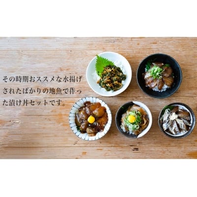 旬 の お魚 漬け丼 お任せ 5種 計5パックセット